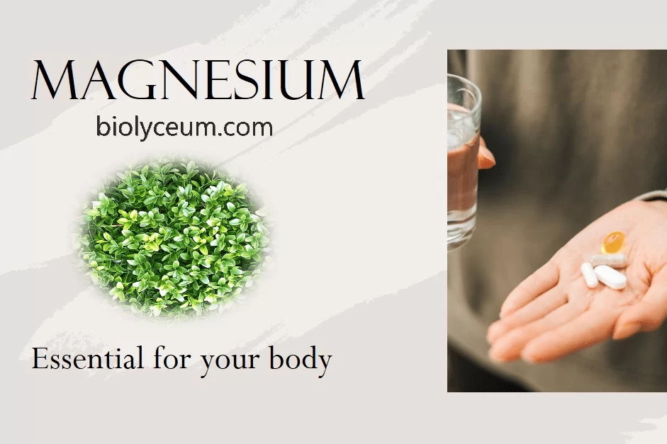Magnesium Supplements