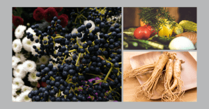 best immune boosting herbs