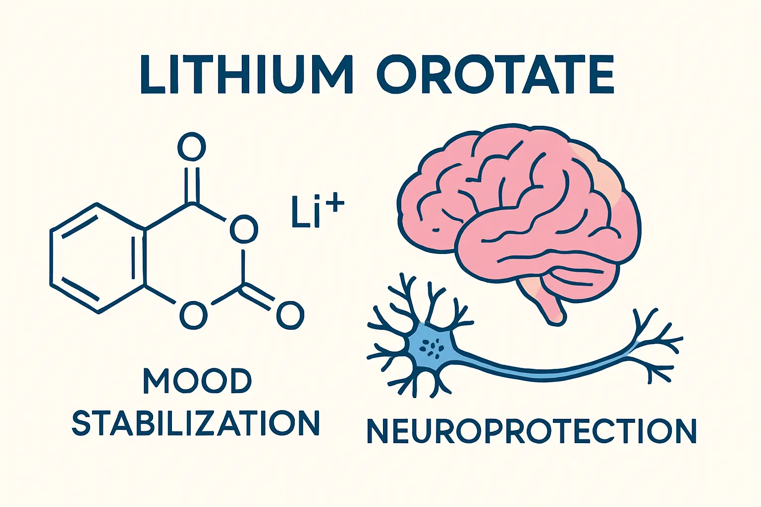 Lithium orotate boost mood, cognition, and brain health with fewer side effects. Explore dosage, safety, and key Alzheimer’s research findings.